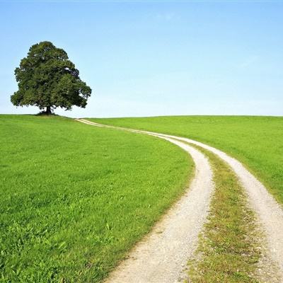 乐鱼app官网最新版下载